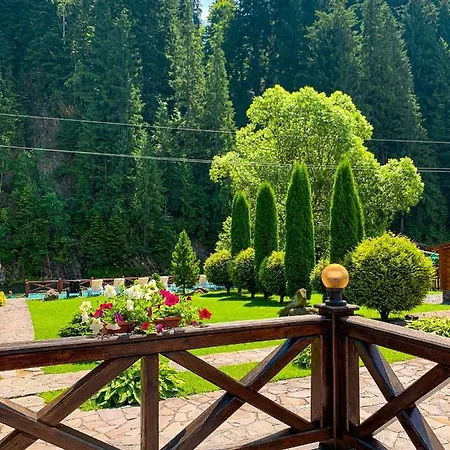 Hotel Forest House Tatariv