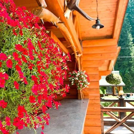 Forest House Tatariv