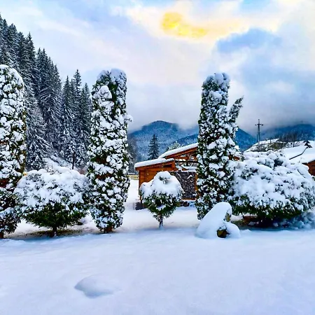 форест-хаус