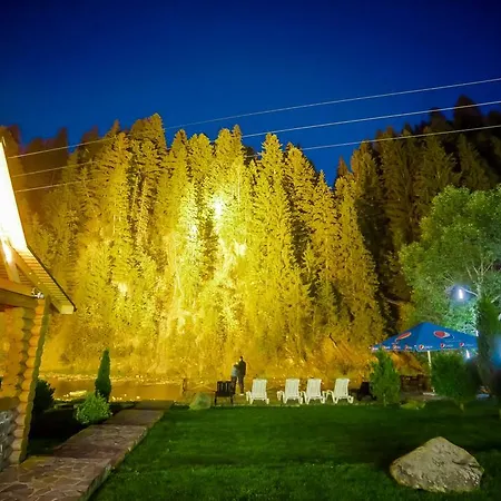 Отель форест-хаус