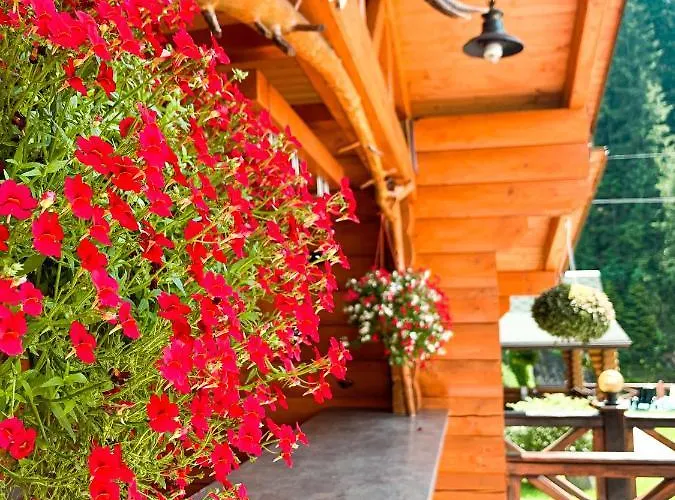 Forest House Tatariv