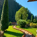 Hotel Forest House