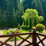 Hotel Forest House Tatariv