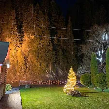 Forest House Hotel Tatariw