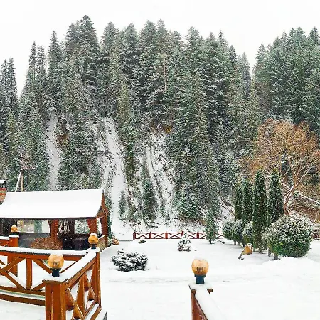 Forest House 2*