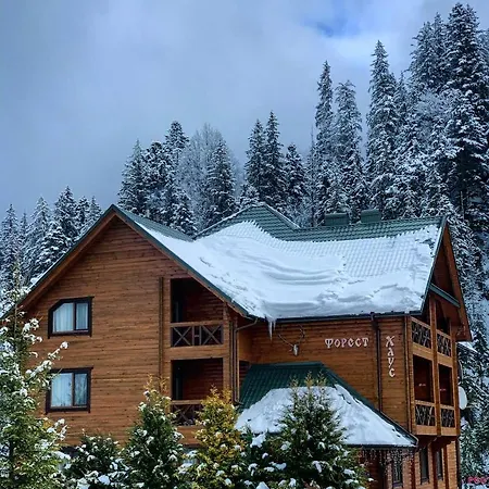 Forest House