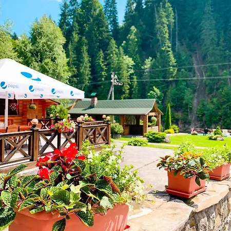 Forest House 2* Tatariw