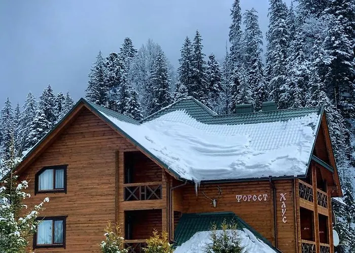 Forest House